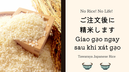精米仕立てのお米が旨い訳