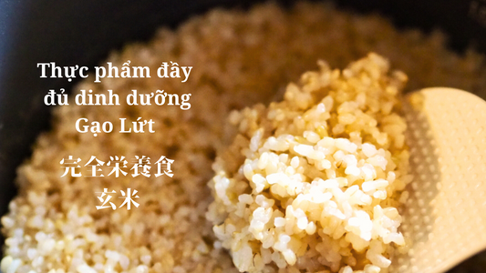 現代人が玄米を食べるべき理由