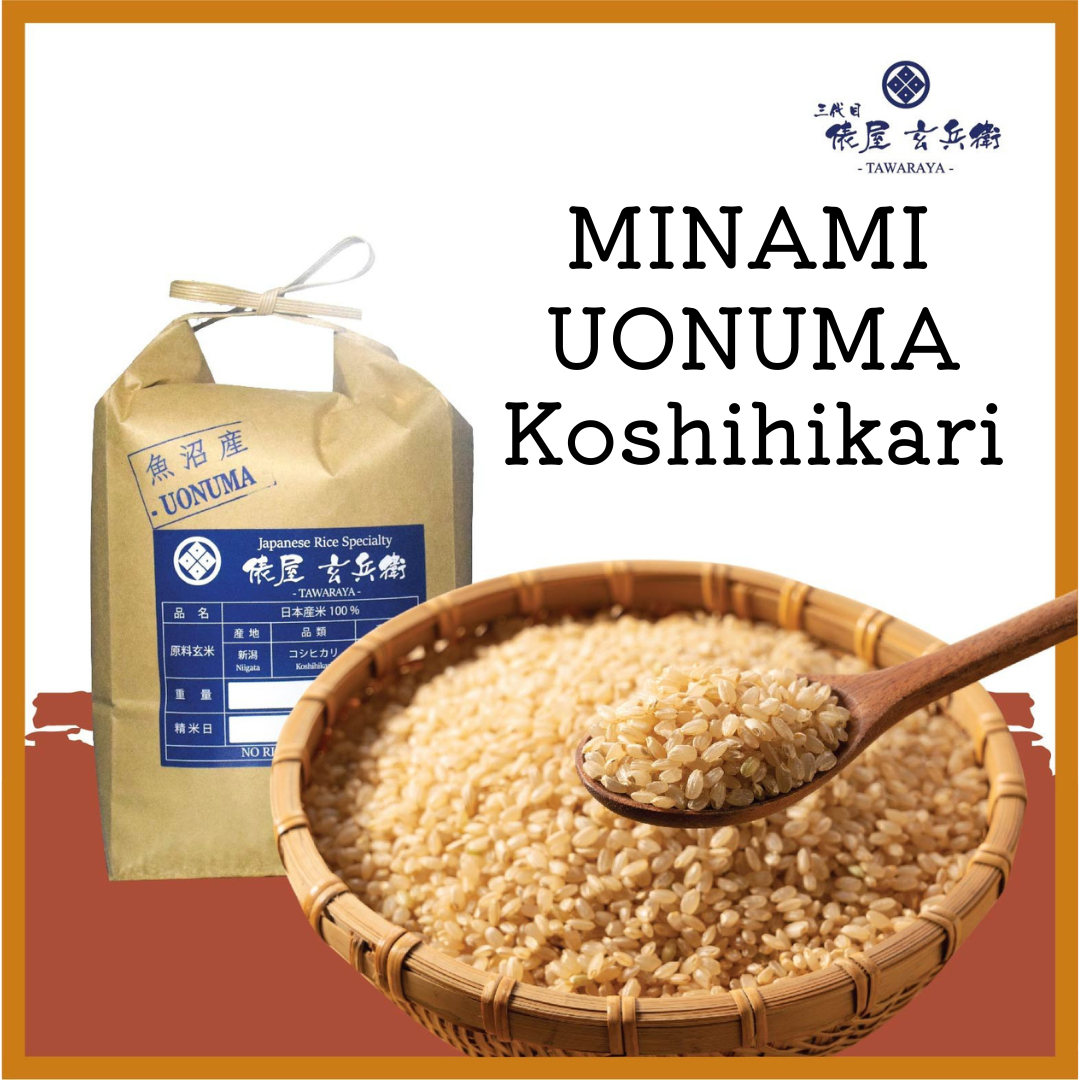 Gạo lứt Nhật Uonuma Koshihikari