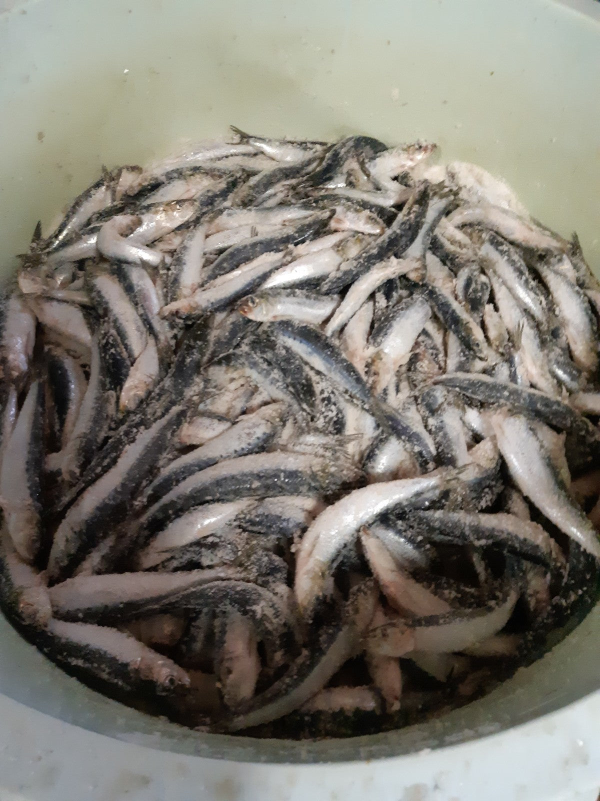 Nước mắm Nhật Bản lên men nguyên chất Shottsuru