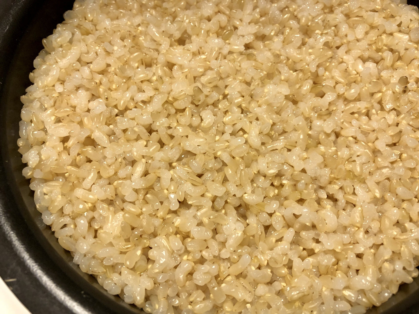 Hokkaido Yumepirika (brown rice)