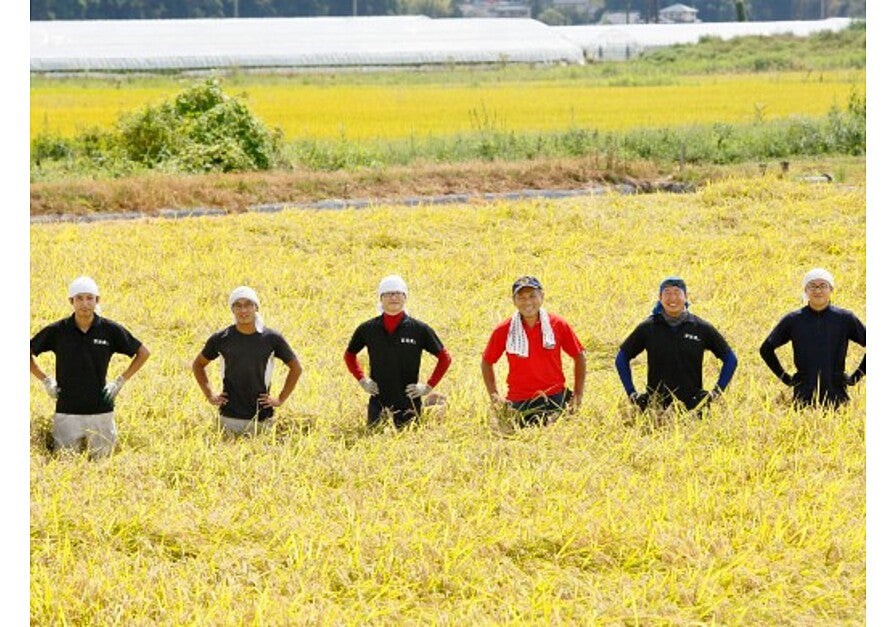 Ibaraki Organic Milky Queen