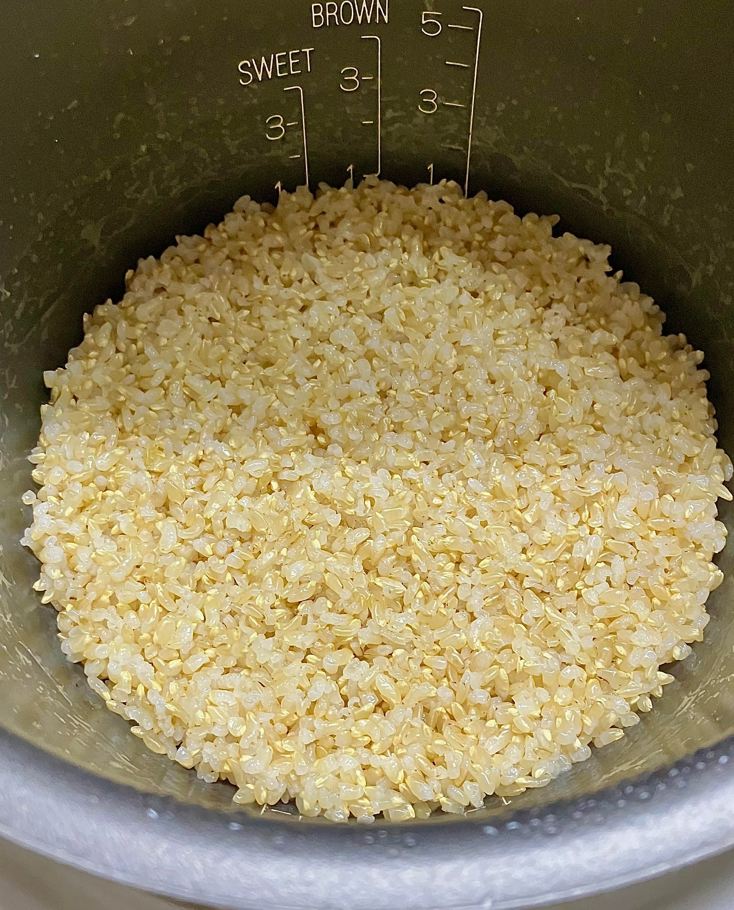 Gạo Nhật Miyagi Kinnoibuki (Dạng gạo lứt)