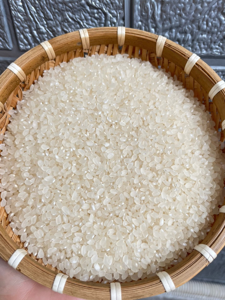 Gạo Nhật thiên nhiên Sasashigure (có chứng nhận hữu cơ JAS)