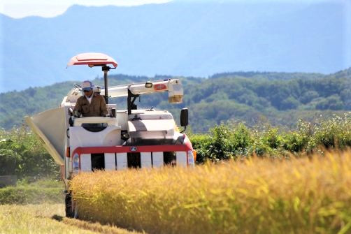 Hokkaido Nanatsuboshi