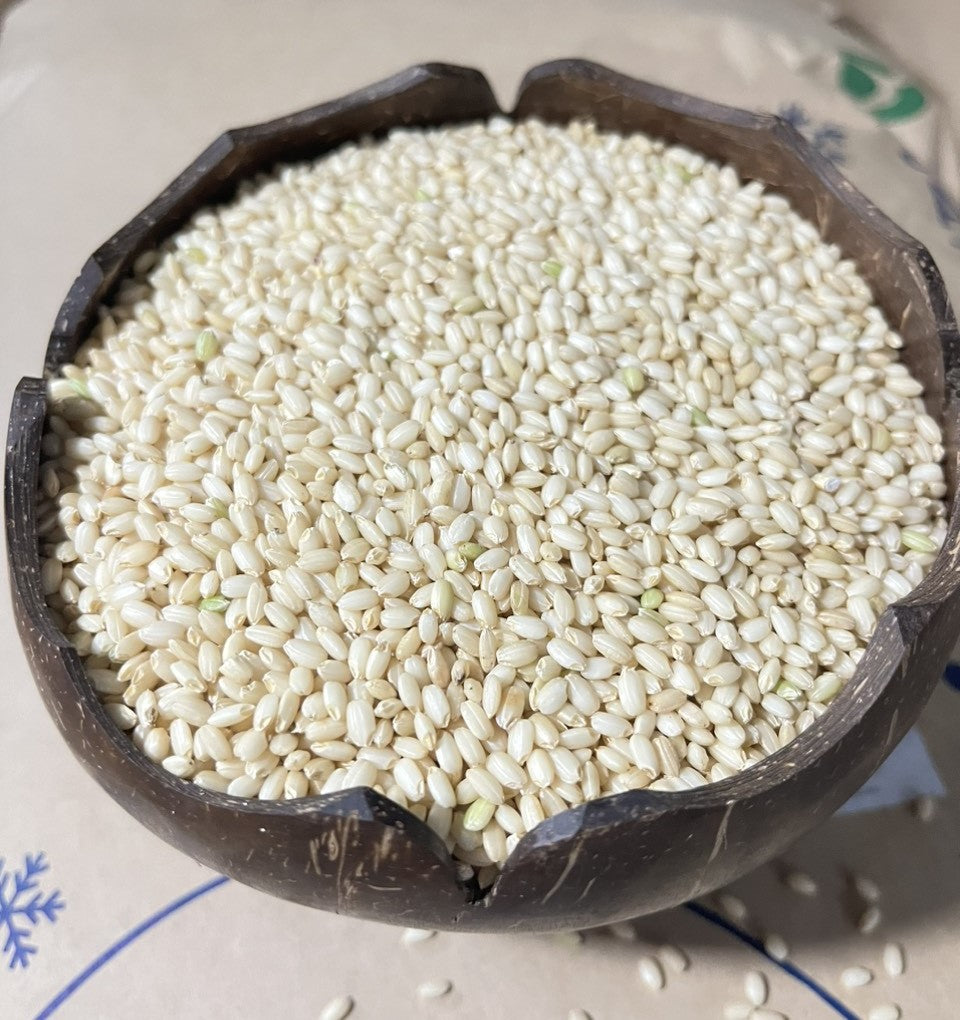 Gạo lứt nếp Nhật Kitayuki mochi