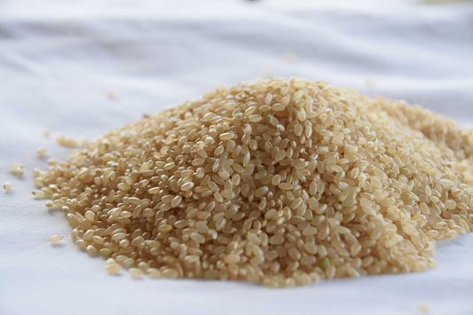 玄米・分つき米の力