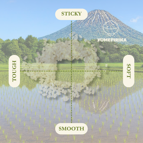 Gạo Nhật Hokkaido Yumepirika