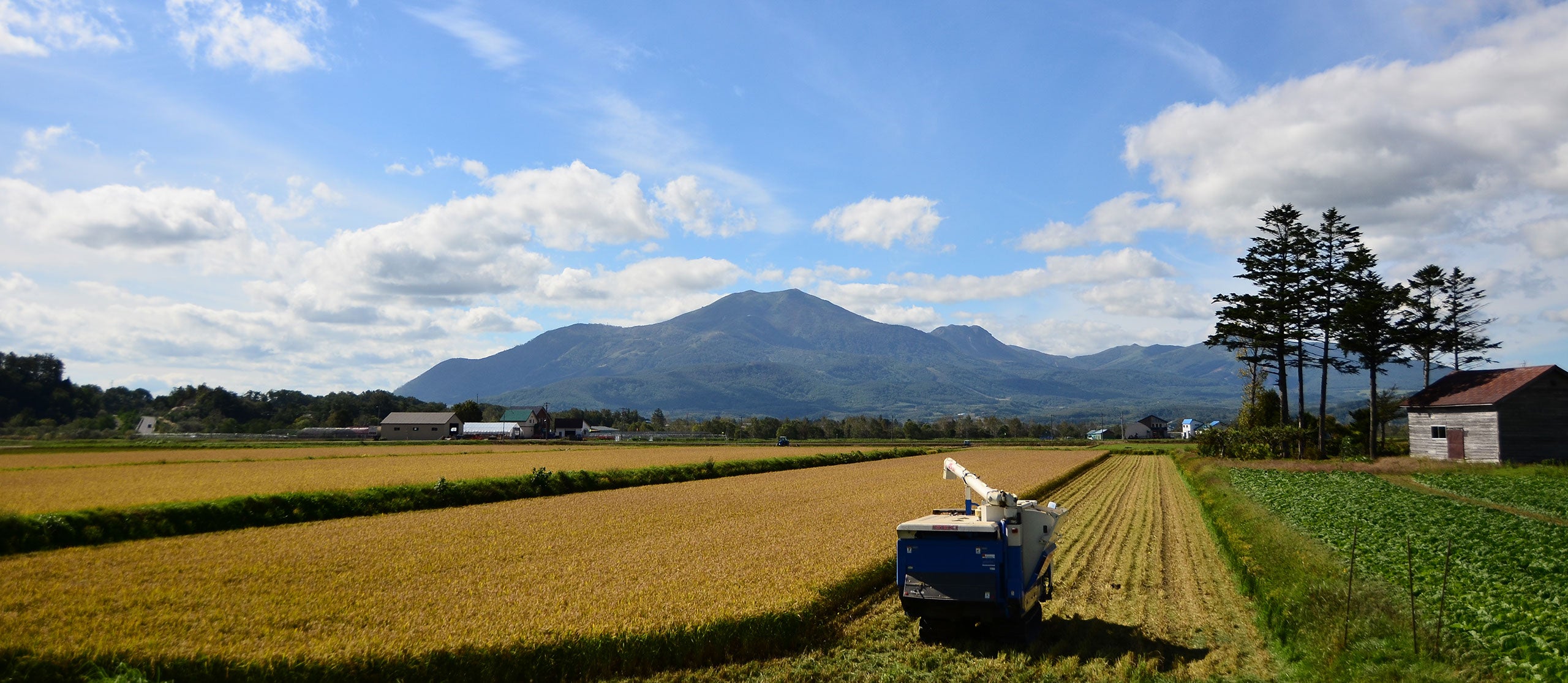 Tawaraya Japanese Rice: 俵屋玄兵衛｜ベトナムの日本産米専門店