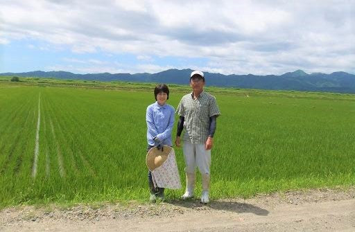 北海道ゆめぴりか